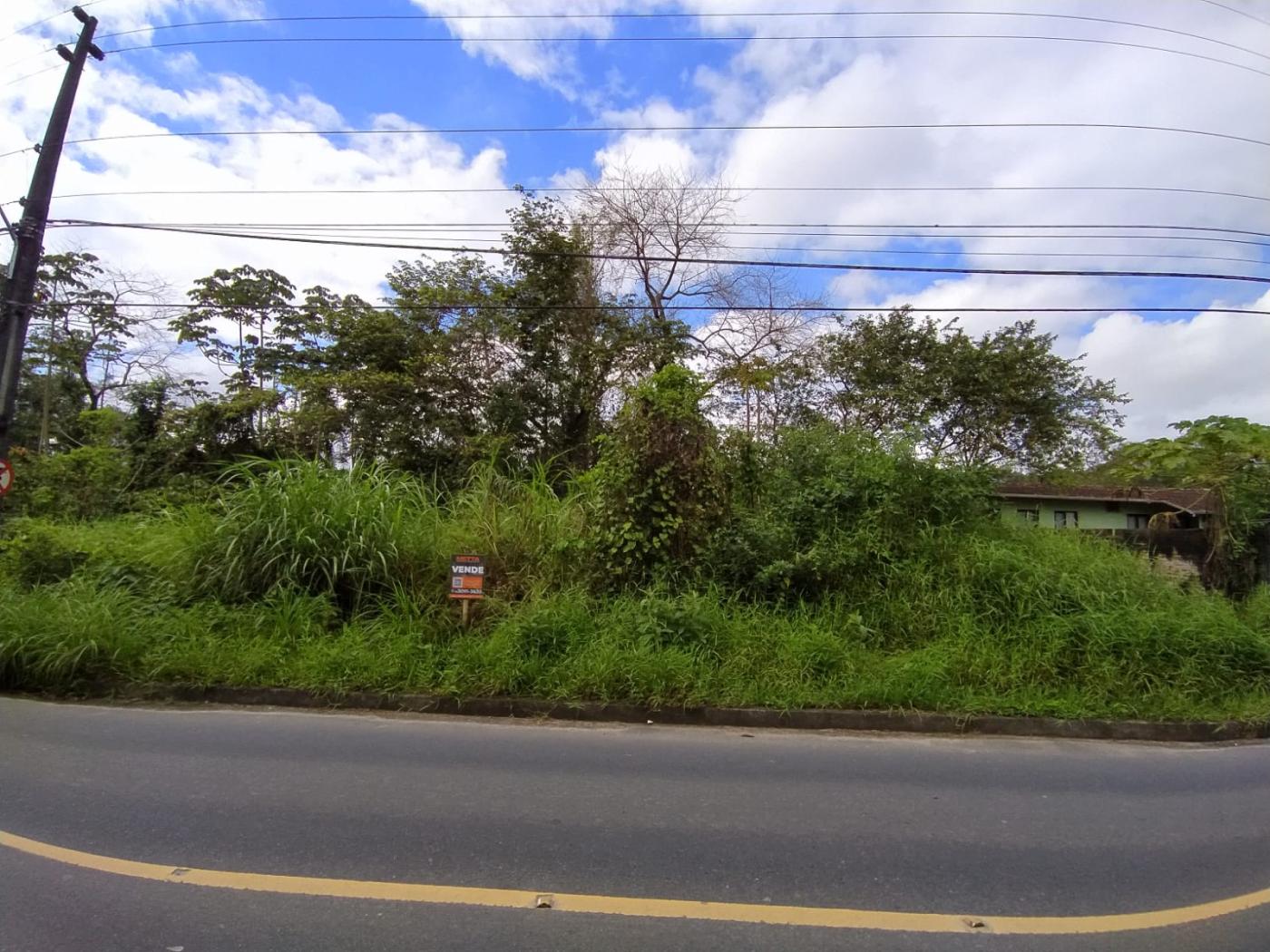 Terreno para Venda em Indaial, Benedito - foto 1