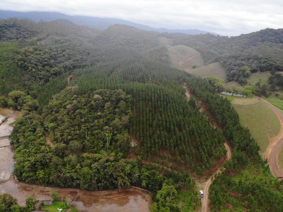 Terreno para Venda em Ascurra, Guaricanas - foto 1