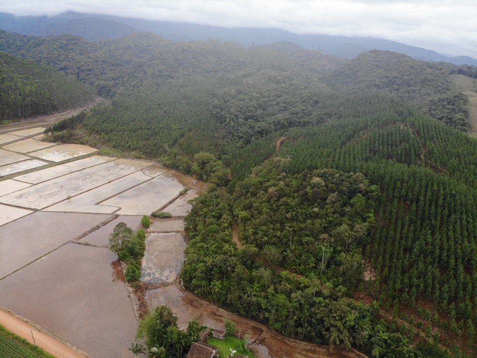 Terreno para Venda em Ascurra, Guaricanas — foto 2