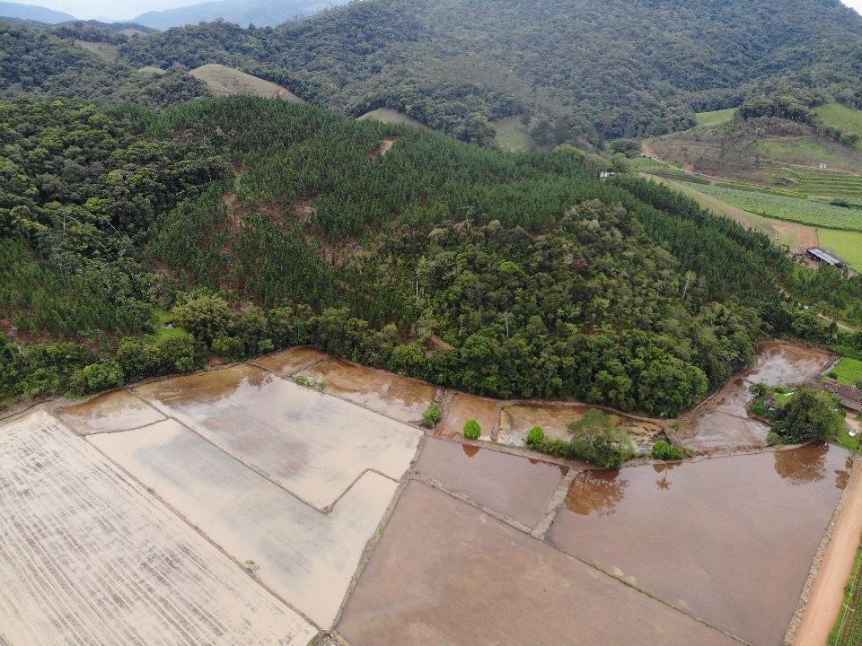 Terreno para Venda em Ascurra, Guaricanas — foto 3