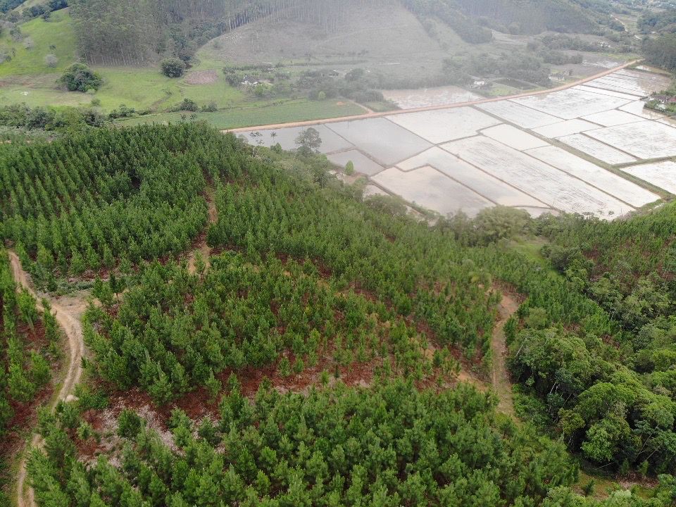 Terreno para Venda em Ascurra, Guaricanas — foto 4