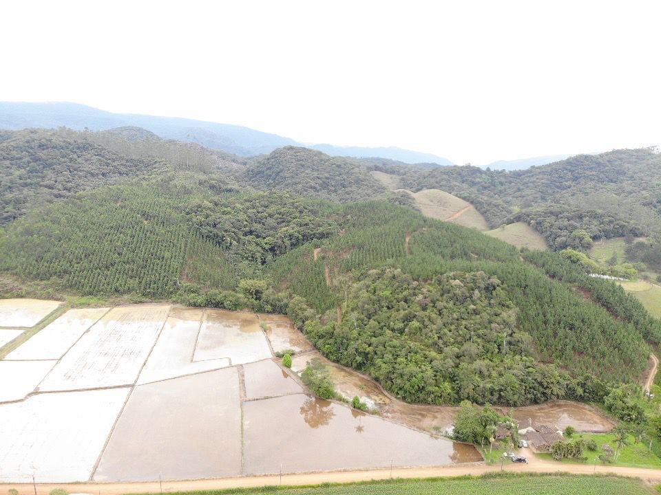 Terreno para Venda em Ascurra, Guaricanas — foto 6